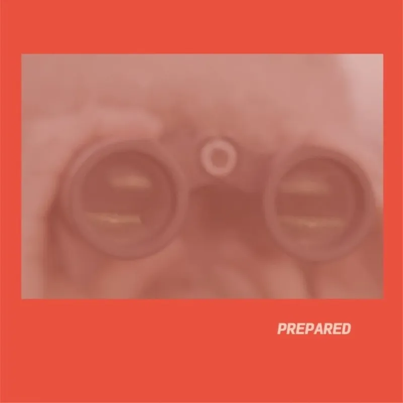 Express Delivery Laura Martin J - Prepared - Rose Pink Vinyl (Uk) (LP)– Josey Records