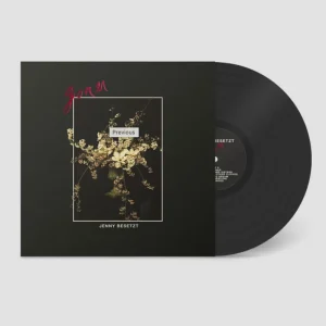 Seasonal Sale JENNY BESETZT GONER - LP
