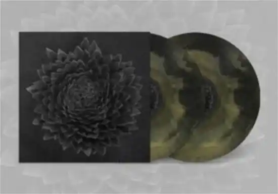 Free Delivery JONSI OBSIDIAN (BLACK / GOLD) - LP