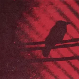 Silver Mt. Zion - Born Into Trouble As the Sparks Fly Upward (LP)– Josey Records Next Day Delivery