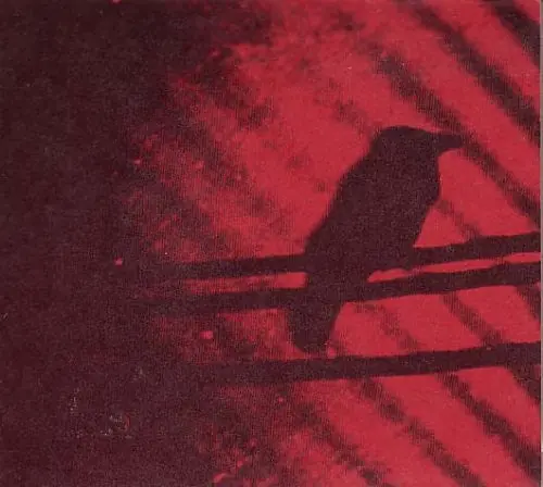 Silver Mt. Zion - Born Into Trouble As the Sparks Fly Upward (LP)– Josey Records Next Day Delivery