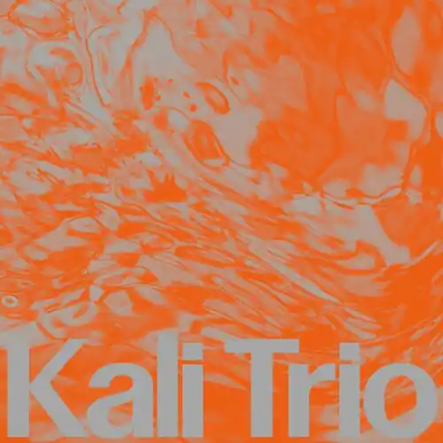 Bargain KALI TRIO PLAYFUL ABSTRACT - LP