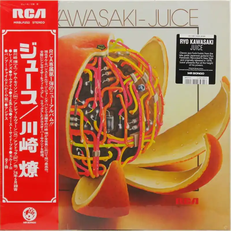 KAWASAKI,RYO JUICE - LP Buy Online