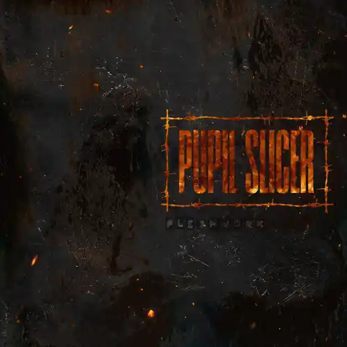 Hot Picks Pupil Slicer - Fleshwork (Vinyl)– Josey Records