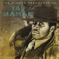 Professional Grade Hidden Treasures Of Taj Mahal Limited 180gram Audiophile 2LP Set