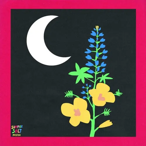 Summer Salt - Reside (Vinyl)– Josey Records High Quality