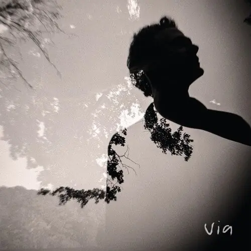 Via - Via (Vinyl)– Josey Records Place Order