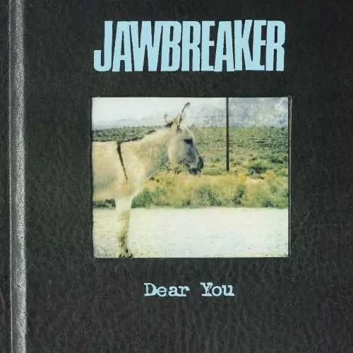 Budget Jawbreaker - Dear You (Vinyl)– Josey Records
