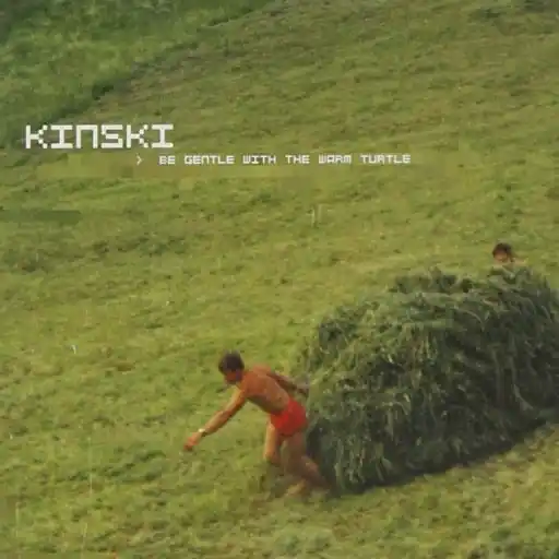 Wholesale KINSKI BE GENTLE WITH THE WARM TURTLE - LP