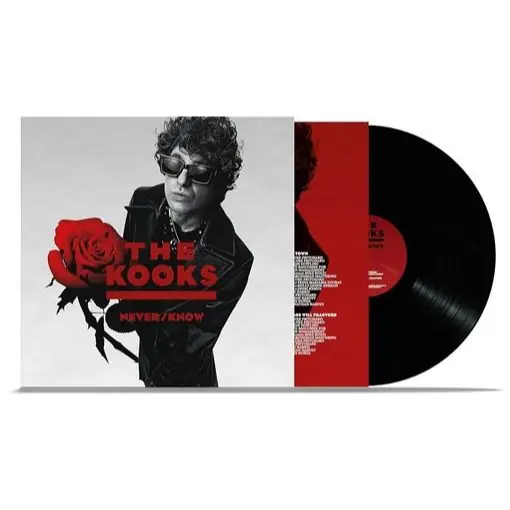 Price Drop KOOKS NEVER/KNOW - LP