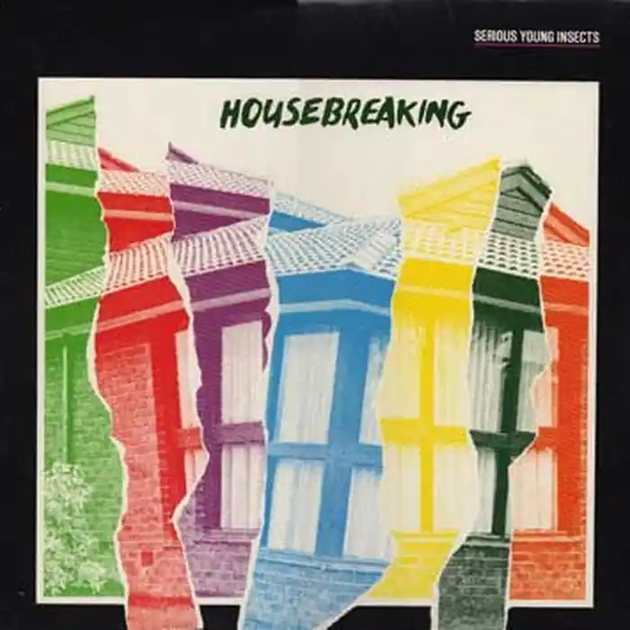 Affordable Serious Young Insects – Housebreaking (VG+/VG+)