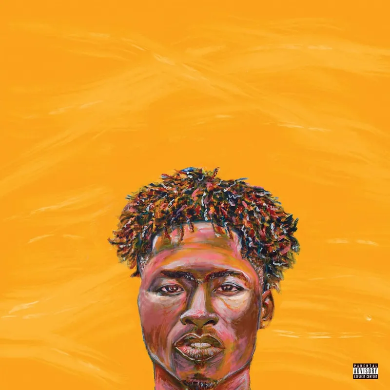 PAINTED Limited Vinyl 2LP Set Fast Shipping