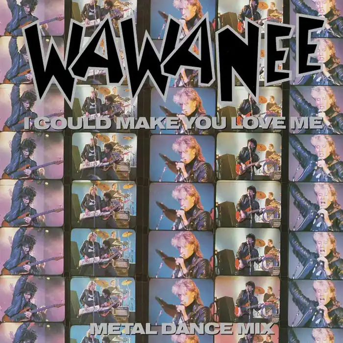 New Arrival Wa Wa Nee – I Could Make You Love Me (VG+/VG+)