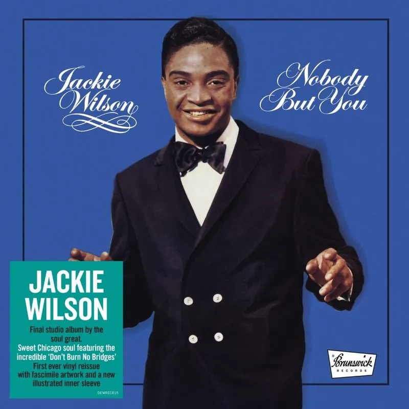 Top Rated Nobody But You Limited Vinyl LP