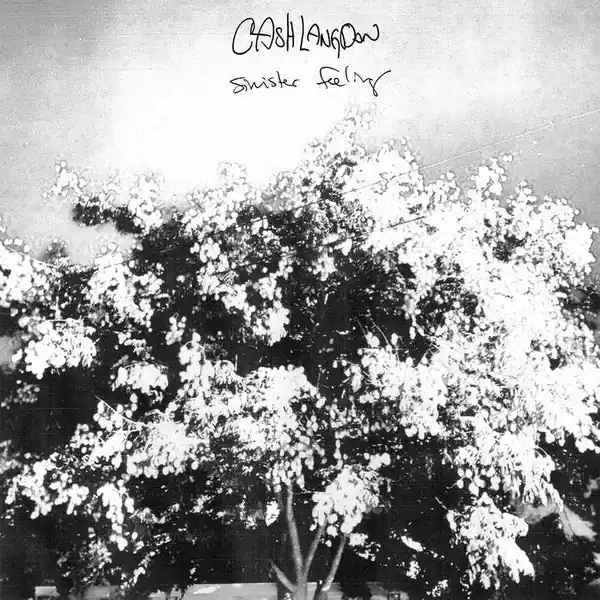 Free Shipping LANGDON,CASH SINISTER FEELING - CD