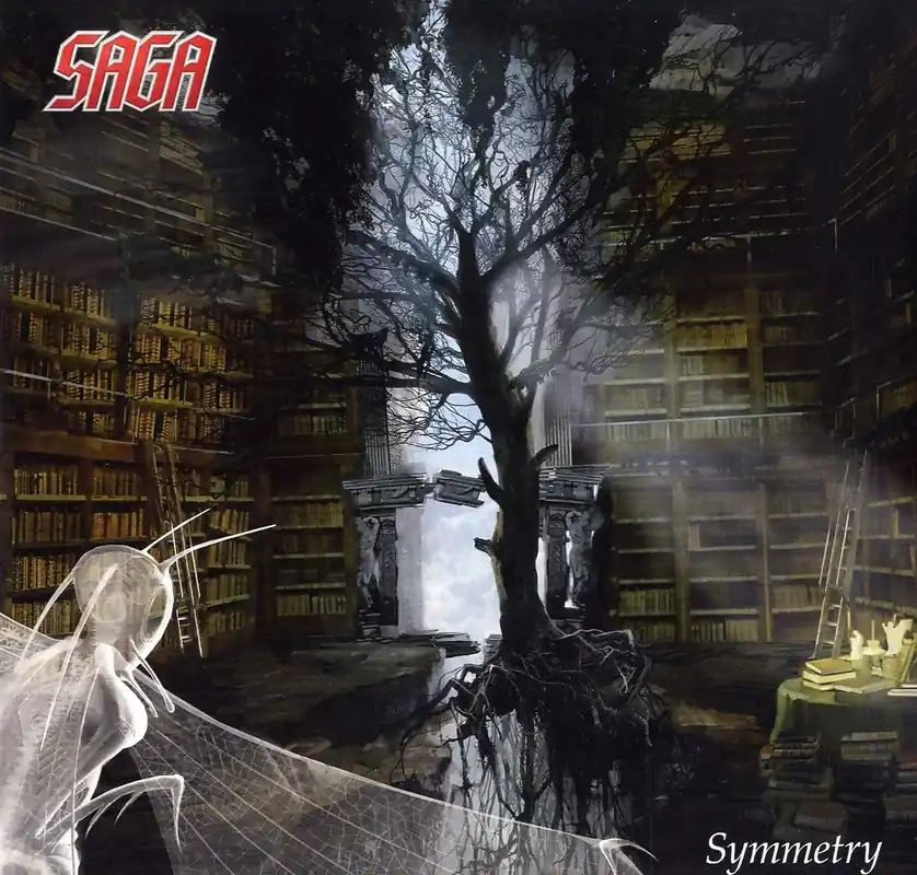 Symmetry Limited Gatefold Vinyl 2LP Set New Release