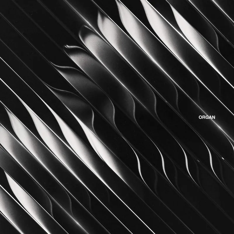 Direct From Manufacturer Organ Limited Vinyl 2LP Set