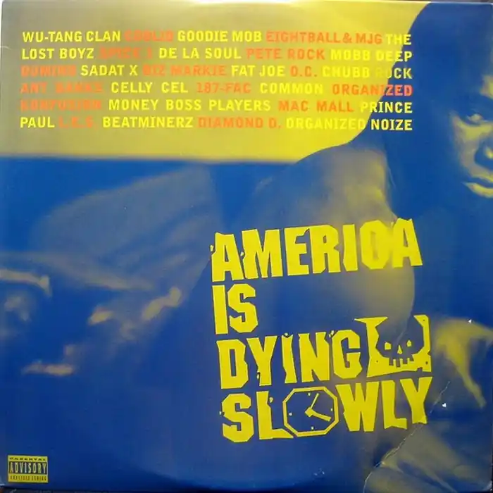 Various – America Is Dying Slowly (2xLP) (VG/VG+) Price Drop