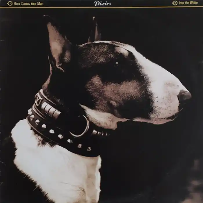 Pixies – Here Comes Your Man (VG/VG) Mega Sale
