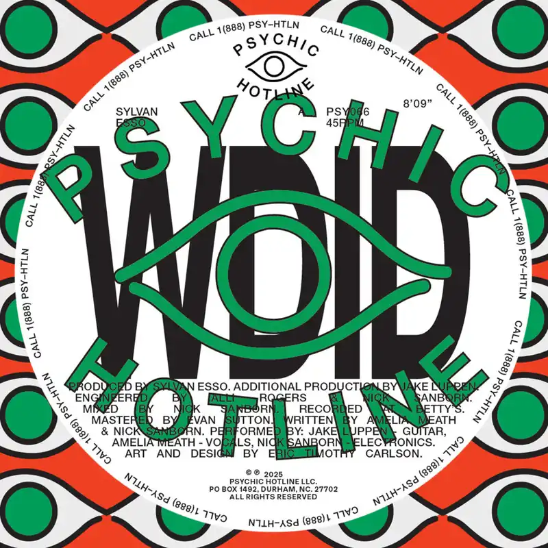 Authentic [PRE-ORDER] Sylvan Esso - WDID b/w KEEP ON (12" Single)– Josey Records