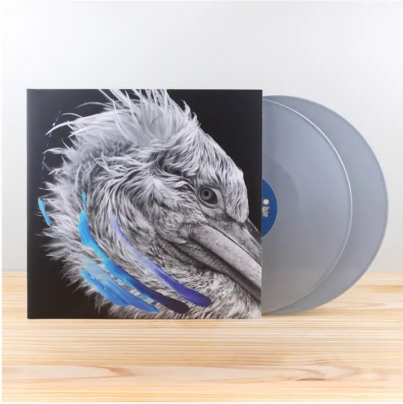 Express Delivery LIES LIES (METALLIC SILVER) - LP