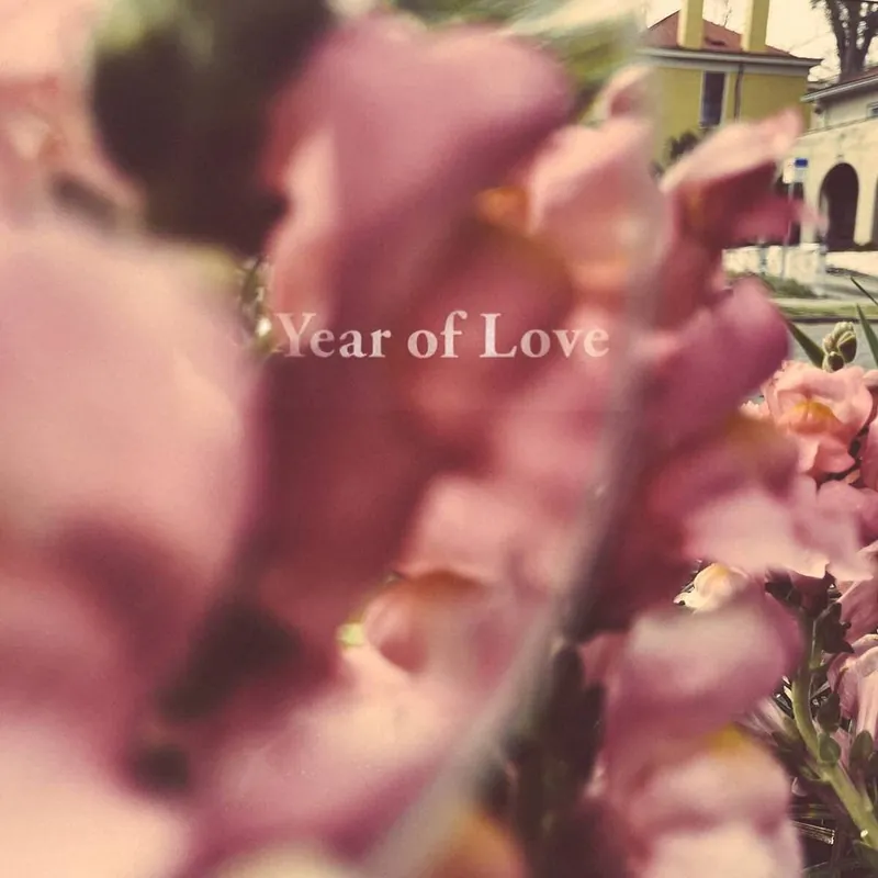 Beta Radio - Year Of Love (LP)– Josey Records Free Shipping