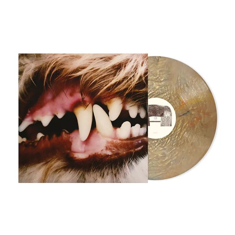 Buy Today LUCIUS LUCIUS (METALLIC ECO VINYL) - LP