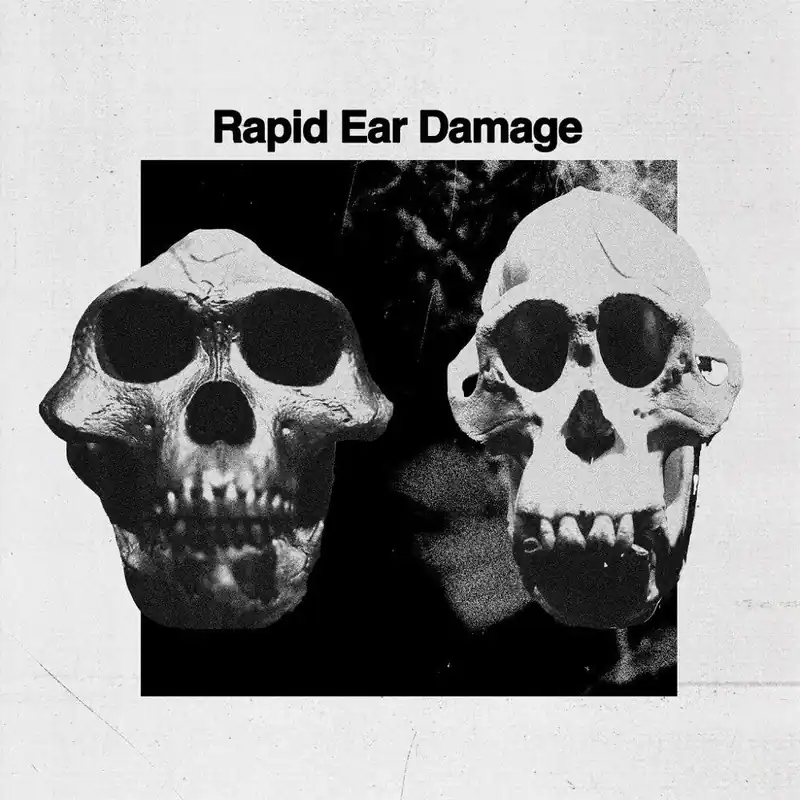 Affordable Rapid Ear Damage - R.E.D. (LP)– Josey Records