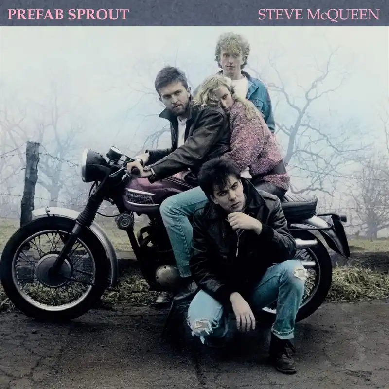 Steve McQueen Limited Picture Disc (Die Cut Sleeve) Vinyl LP Low Price