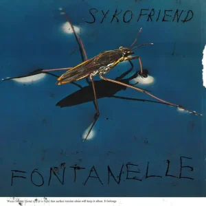 Syko Friend - Fontanelle (LP)– Josey Records Warranty Included