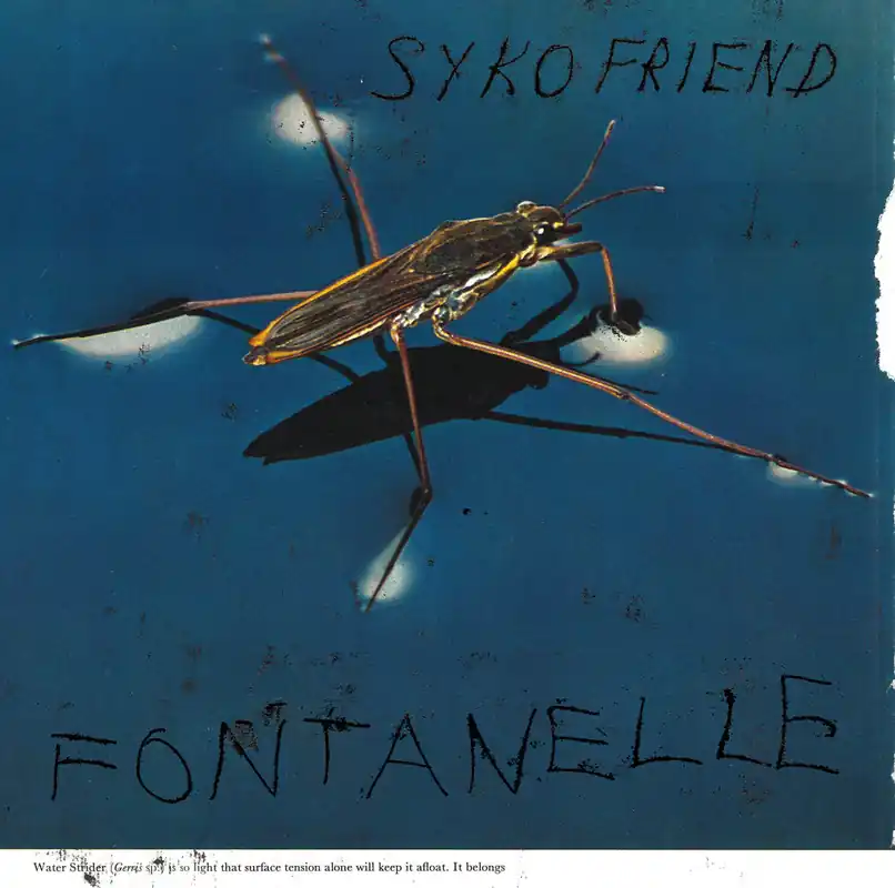 Syko Friend - Fontanelle (LP)– Josey Records Warranty Included