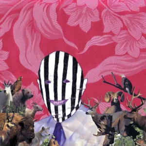 Subtle - F.K.O (LP)– Josey Records Professional Grade