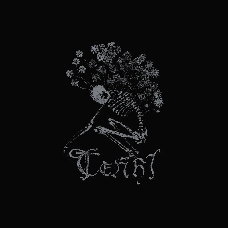 Tenhi - Collected Works 2023 (Blk) (Box) (Limited Edition)– Josey Records Trending