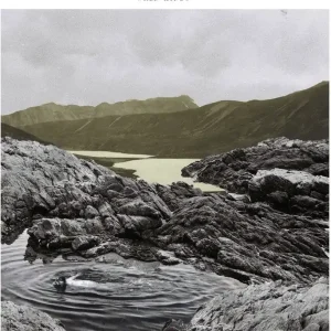 WREN HINDS - Don't Die In The Bundu (LP)– Josey Records Final Sale