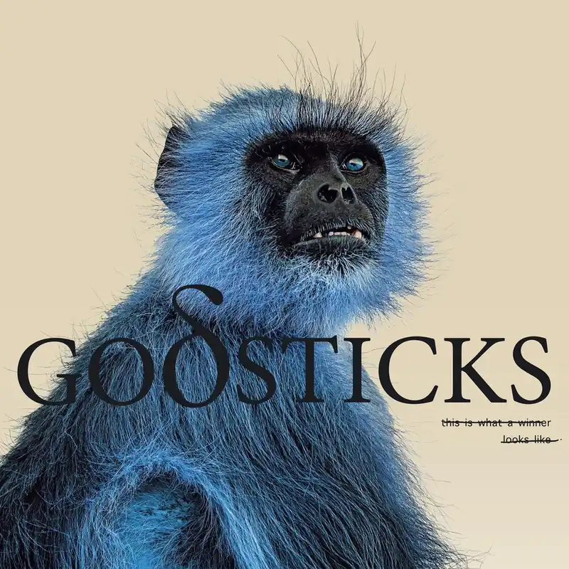 Warranty Included Godsticks - This Is What A Winner Looks Like (LP)– Josey Records