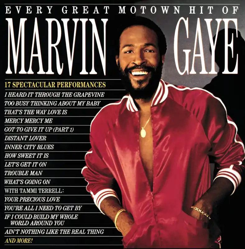 Every Great Motown Hit Limited Vinyl LP Last Chance