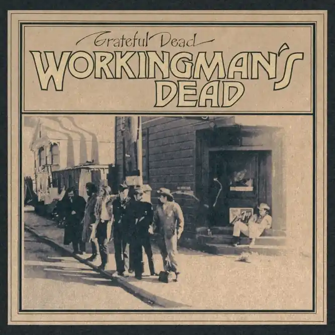 Limited Edition WORKINGMAN'S DEAD Limited 50th Anniversary Picture Disc Vinyl LP