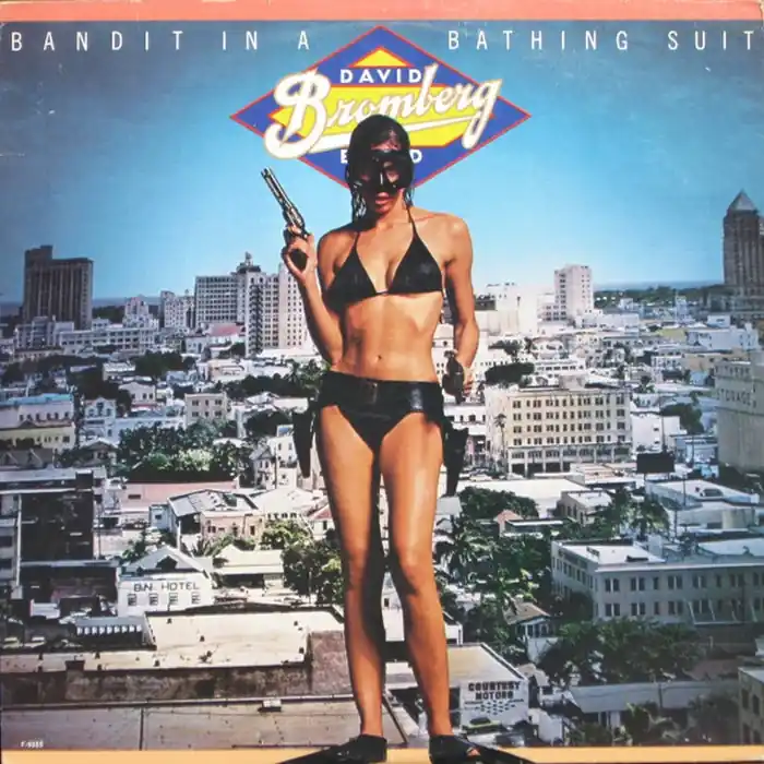 Weekend Sale David Bromberg Band – Bandit In A Bathing Suit (VG+/VG)