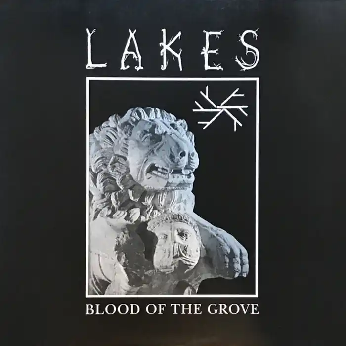 Don’t Miss Out Lakes – Blood Of The Grove (VG+/VG)