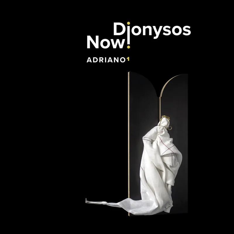 Willaert / Dionysos Now - Adriano 1 (LP)– Josey Records Certified