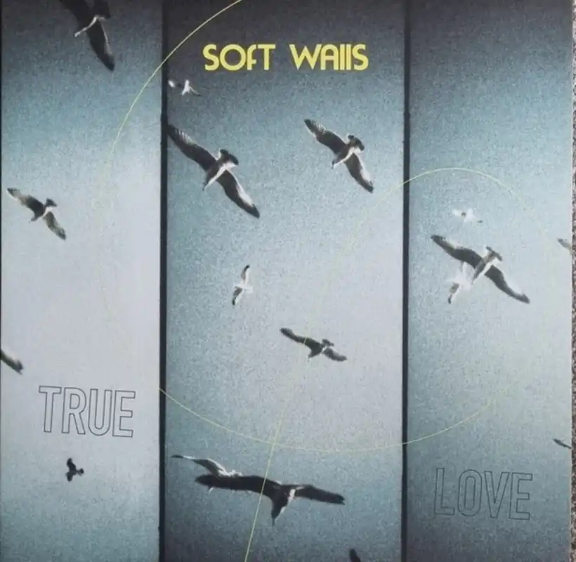 Soft Walls - True Love (Uk) (LP)– Josey Records Latest