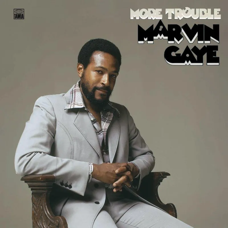 Secure Checkout More Trouble Limited 180gram Vinyl LP