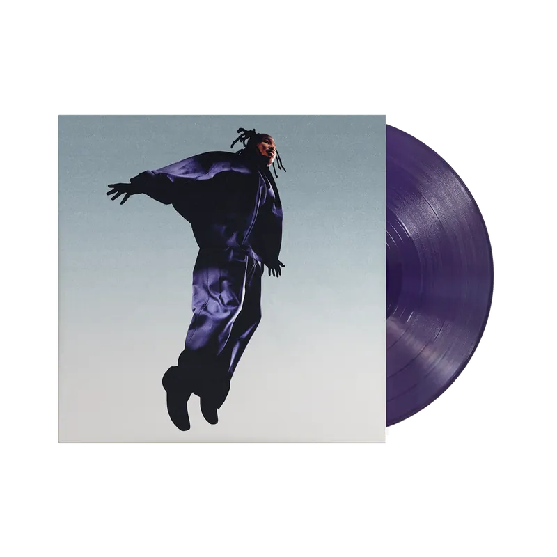 MAVI THE PLOT (DARK PURPLE VINYL) LP PREORDER out 3/27/2026 Sale