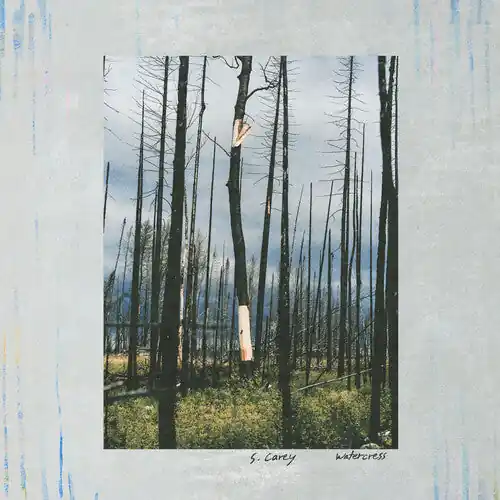 Seasonal Sale S. Carey - Watercress [LP]