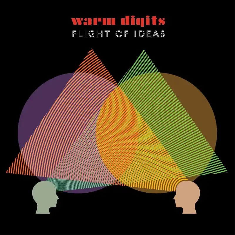Flight of Ideas Limited 180gram Vinyl LP Wholesale