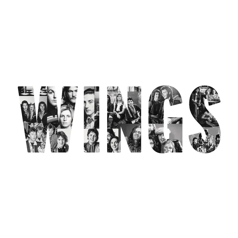 Direct From Manufacturer MCCARTNEY,PAUL & WINGS WINGS (180 GRAM) - LP