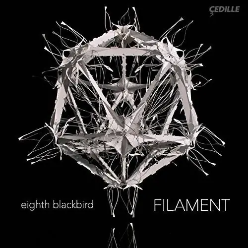 B Dessner / Eighth Blackbird - Filament (LP)– Josey Records Warranty Included