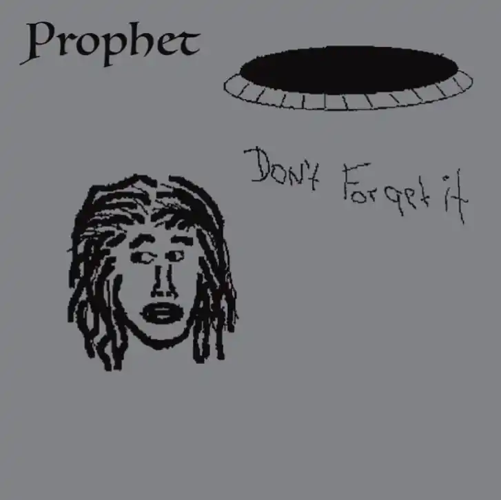Final Sale Don't Forget It Limited Vinyl LP