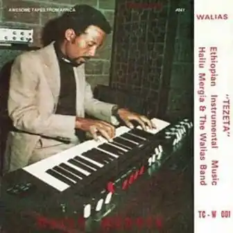 MERGIA,HAILU & THE WALIAS TEZETA - TAPE Today Only
