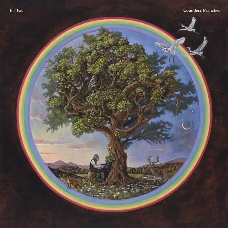 Express Delivery Countless Branches Limited Vinyl LP